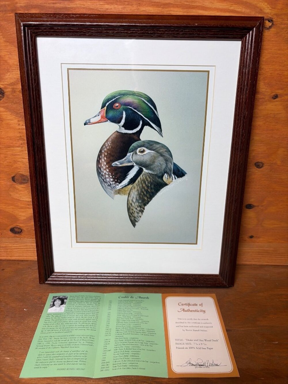Drake And Hen Wood Duck Framed Print By Sherrie Russell Meline With COA